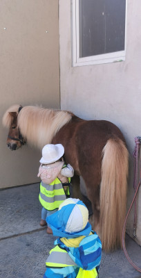 Pflege muss auch sein Pflege muss auch sein