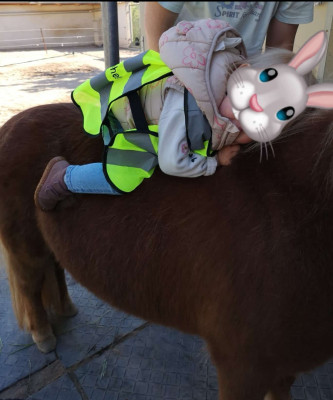 Kuschelzeit Kuschelzeit