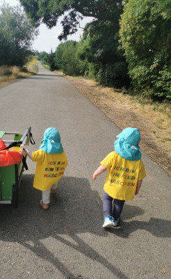 Auf zum Sonnenblumenfeld Auf zum Sonnenblumenfeld