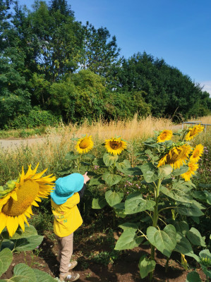 So toll und groß So toll und groß