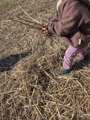 Spielen mit der Natur
