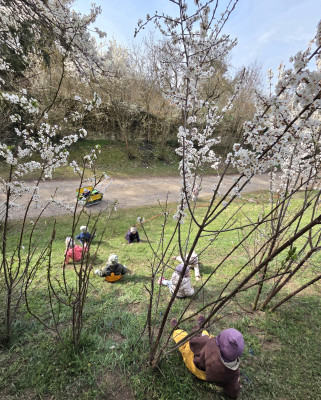 Auf dem Po die Wiese runter